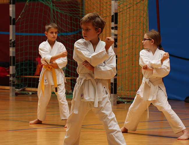 Kinder im Karate Training