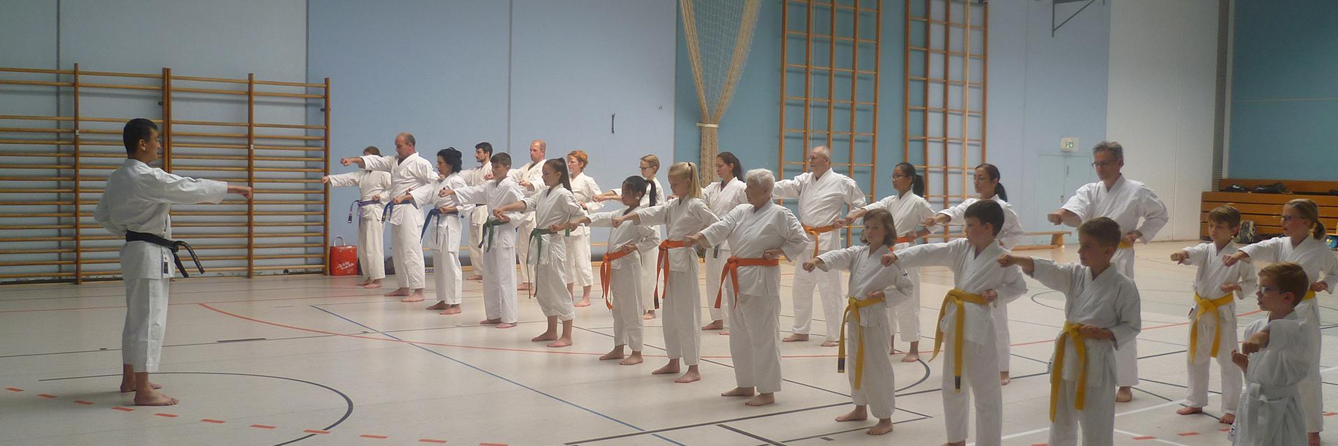 Lehrgang im Karate Koblenz Dojo