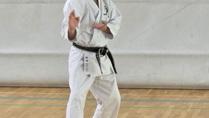 Akita Sensei erklärt. 